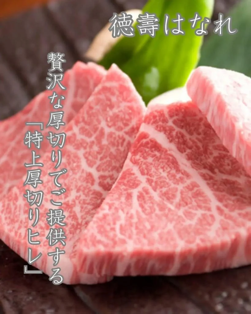 【やわらかさを極めた、特上厚切りヒレ】